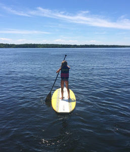 Meet your Posher, Lily